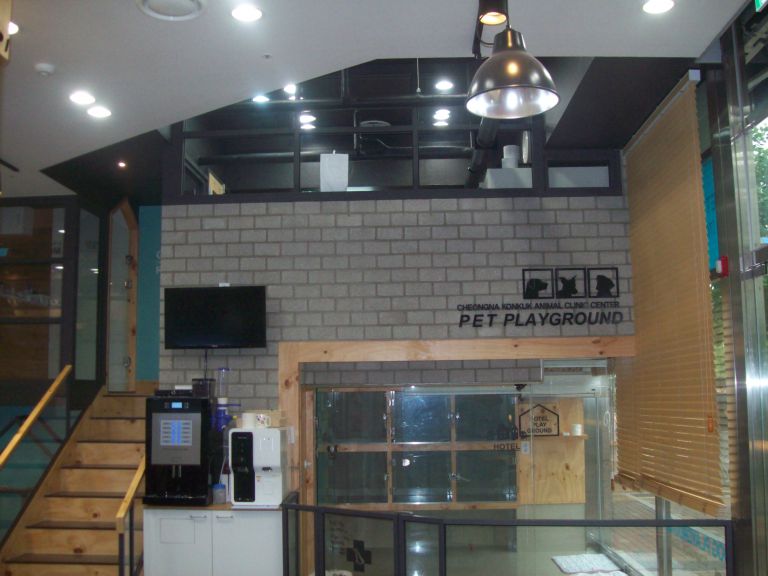애견카페  부평점
